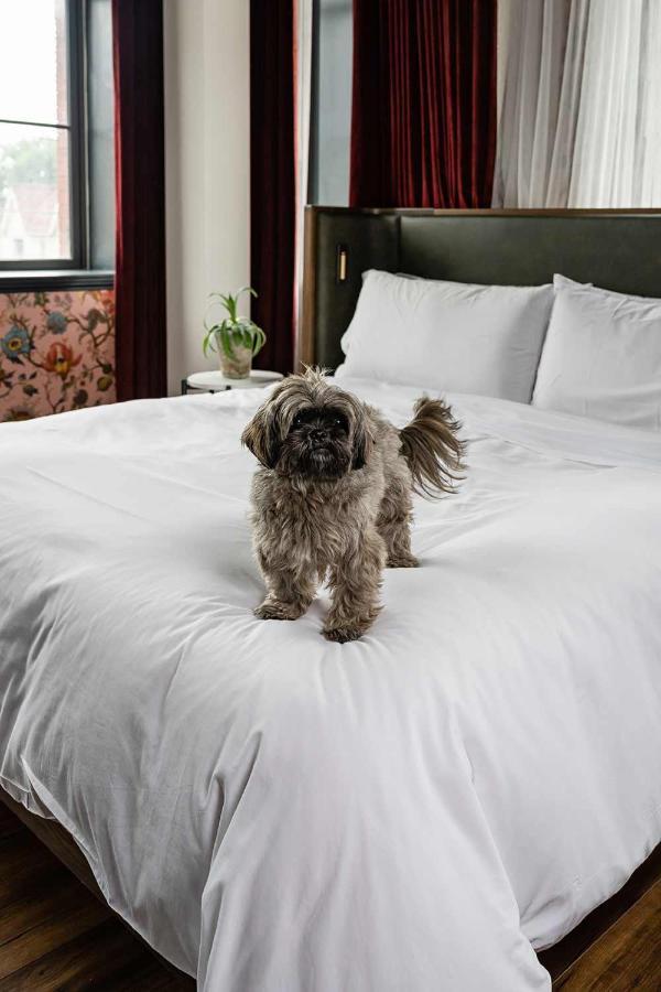 The Broadview Hotel Toronto Ngoại thất bức ảnh